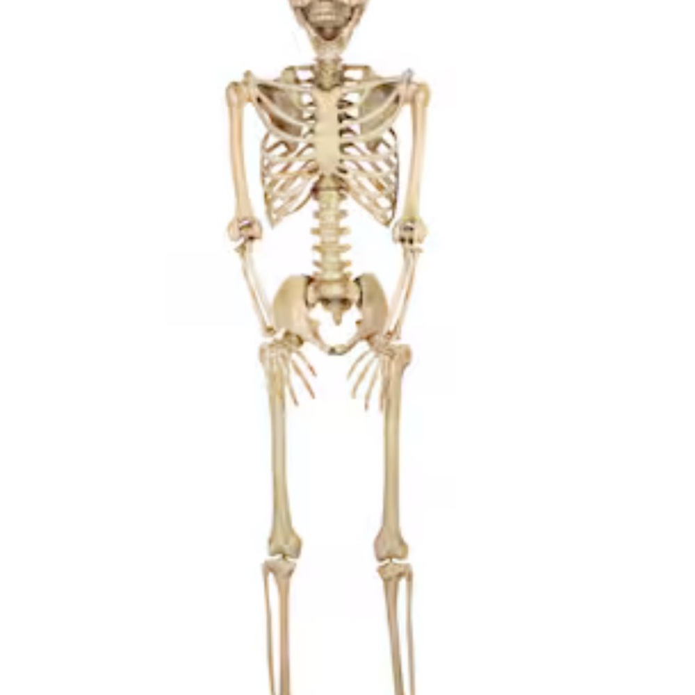Haunted living 7ft hanging Skelton. NWT
